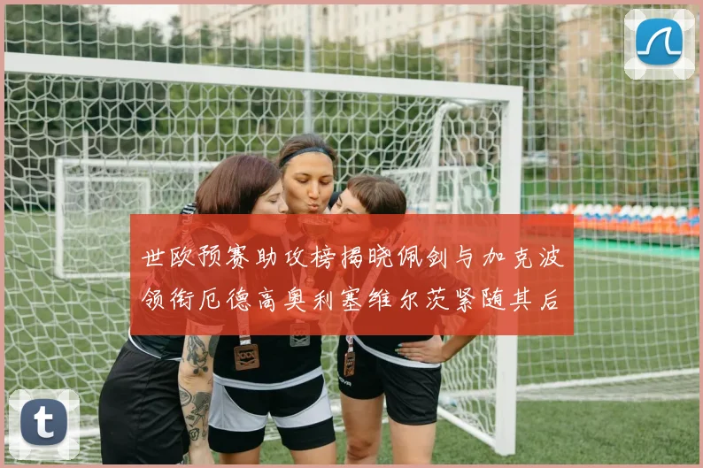 世欧预赛助攻榜揭晓佩剑与加克波领衔厄德高奥利塞维尔茨紧随其后