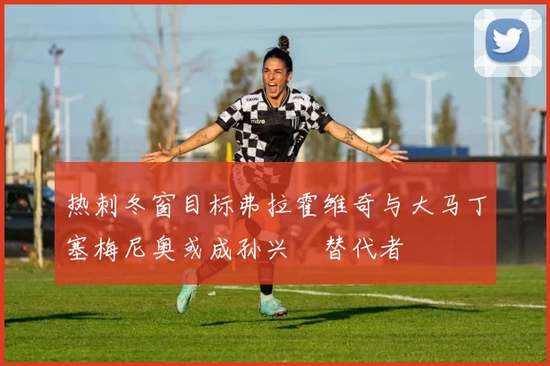 热刺冬窗目标弗拉霍维奇与大马丁塞梅尼奥或成孙兴慜替代者