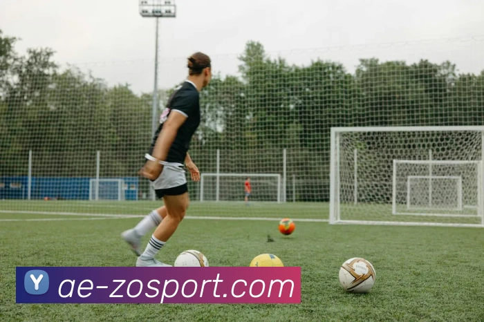 中欧足球官网平台生态图